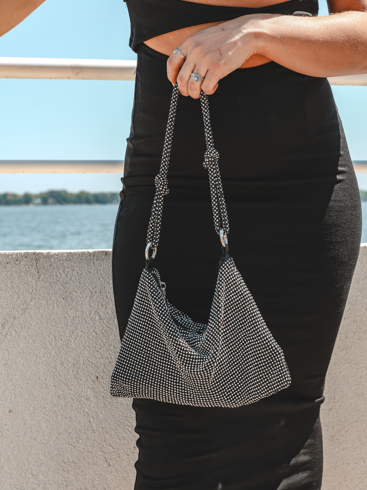 Soft Shiny Black Handbag - Rental