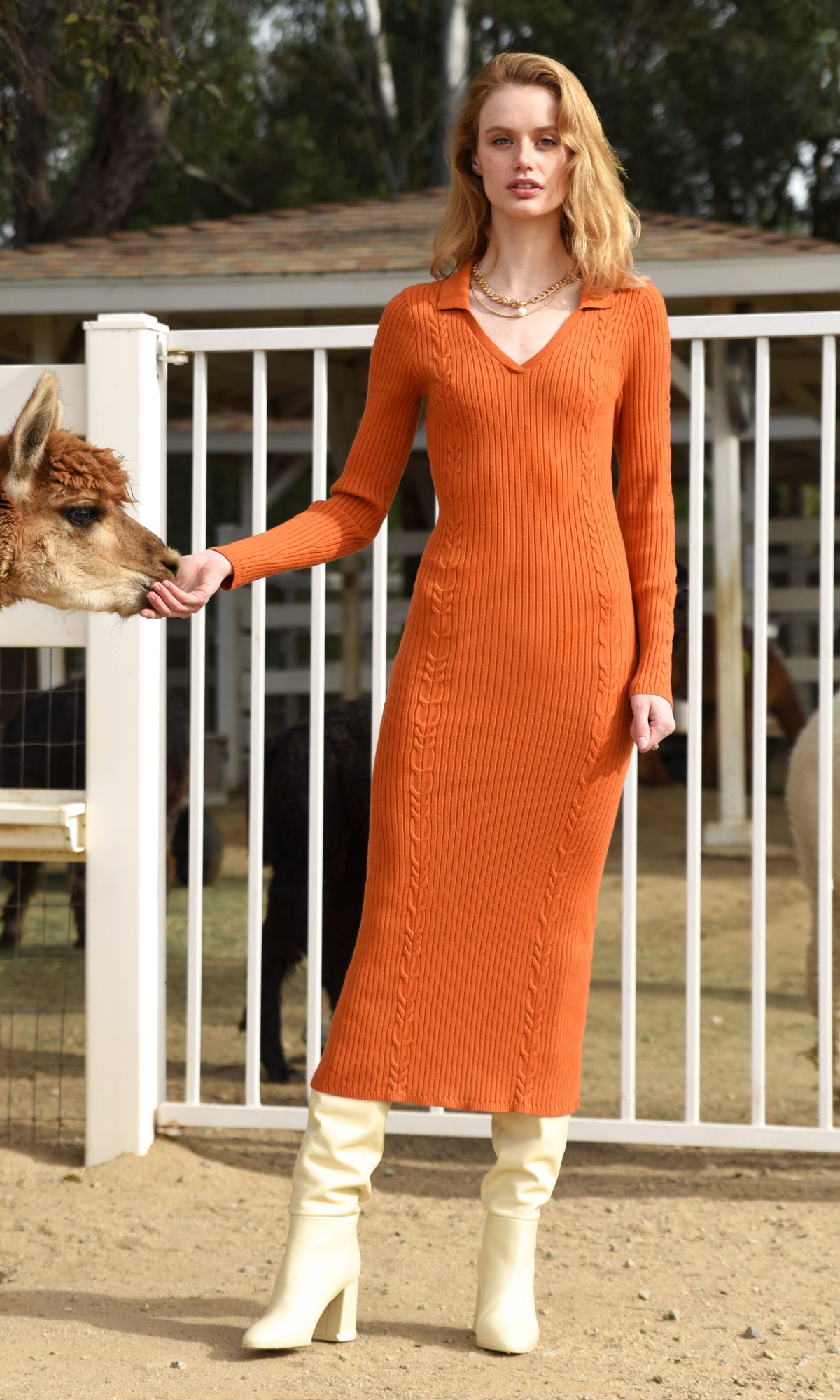 Robe manche longue tricot orange - rust Vanessa Open Collar Cable Rib Knit Midi Dress